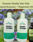 Shampoo, Conditioner & Hair Oil-Set of 3 Items